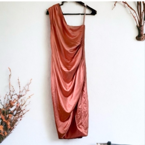 ELLIATT Coral Cassini Satiny Shiny One Shoulder Ruched Dress by Nordstrom Size L - Picture 4 of 16
